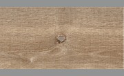 Όρεγκον